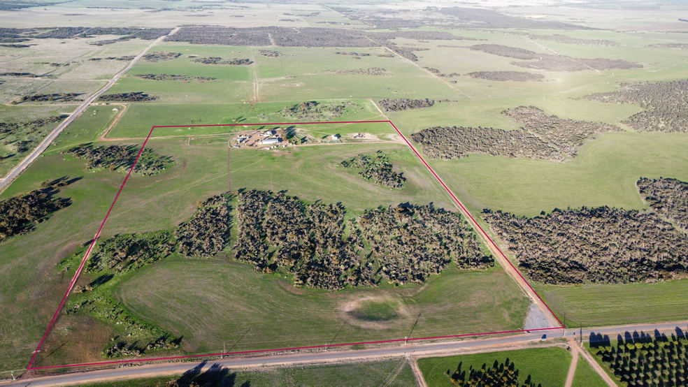 123 Loxton Drive Bookara WA 6525 - Image 3