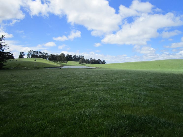 Click to view all images 65 Preston-Castra Road Preston TAS 7315 - Image 3