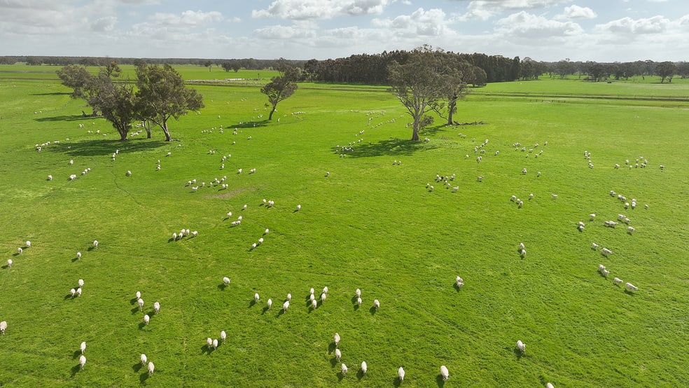 546 Bool Lagoon West Road Penola SA 5277 - Image 1