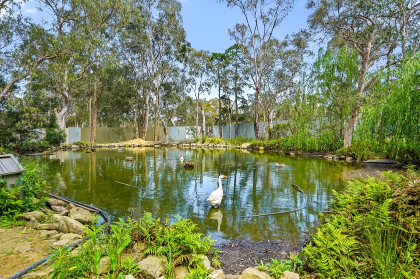 Click to view all images 180 Stannix Park Road Wilberforce NSW 2756 - Image 3