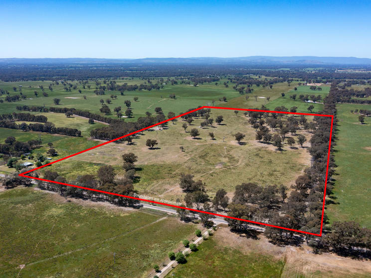 377 Laceby-Targoora Road Laceby VIC 3678 - Image 3