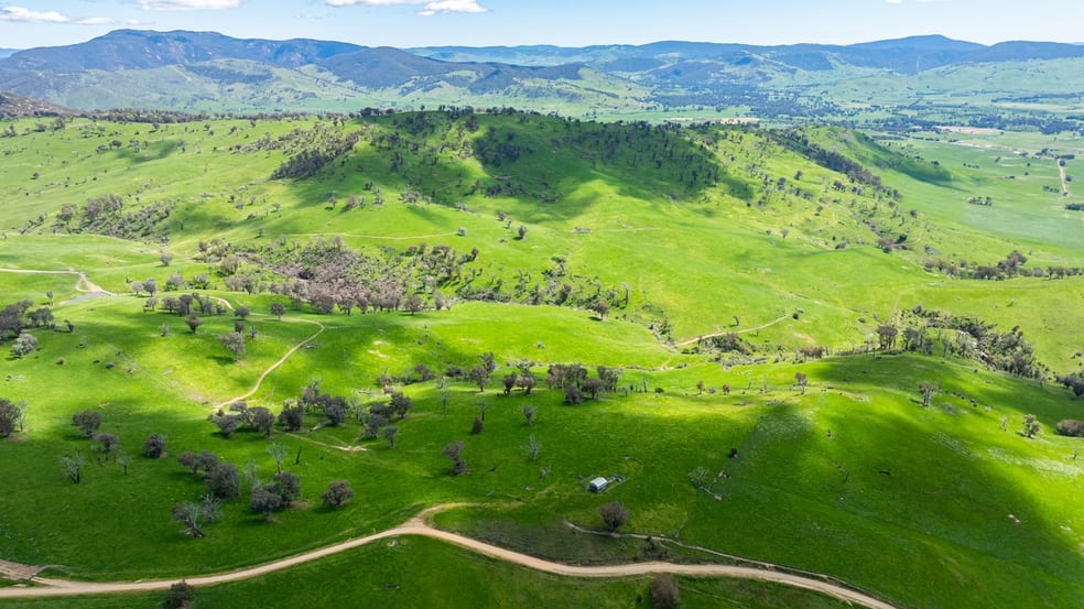 Ranch Road Tintaldra VIC 3708 - Image 1