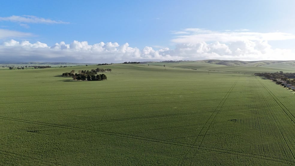 'Crystal Valley' Talbots Road Crystal Brook SA 5523 - Image 3