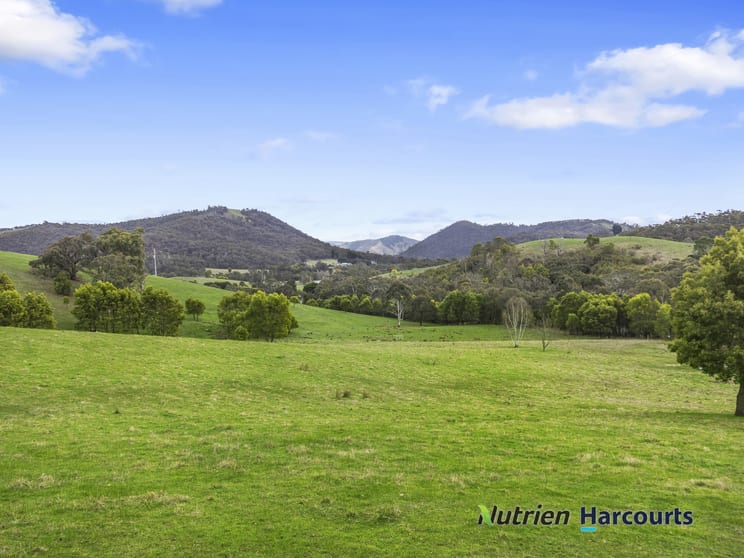 3918 Whittlesea-Yea Road Flowerdale VIC 3717 - Image 1