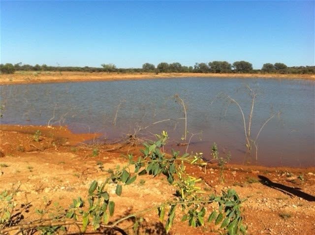 Click to view all images Great Northern Highway Mount Magnet WA 6638 - Image 2
