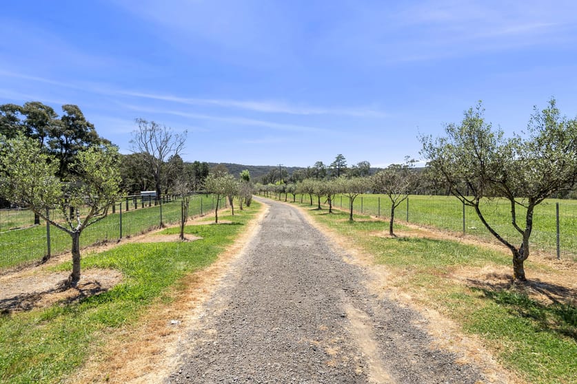 2 Murrimba Road Paddys River NSW 2577 - Image 2