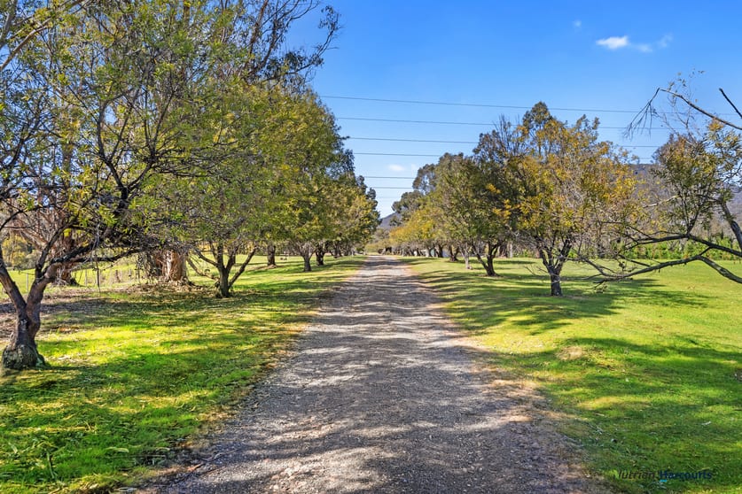 17 Marr Court Eildon VIC 3713 - Image 2