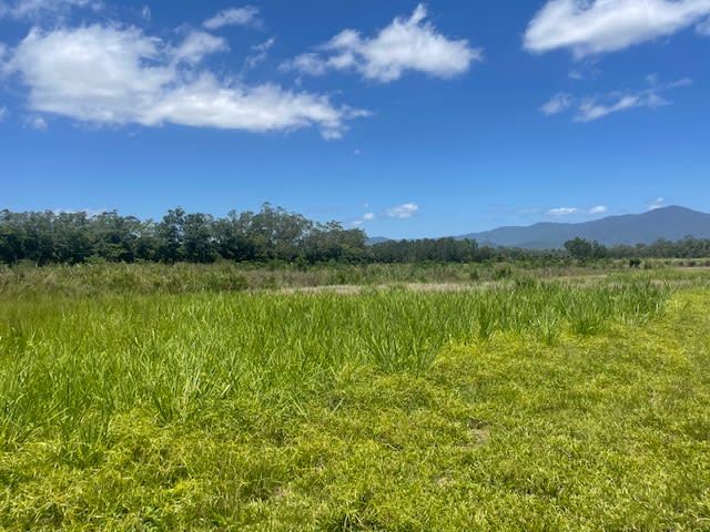 Click to view all images 12 Pine Creek - Yarrabah Road East Trinity QLD 4871 - Image 2