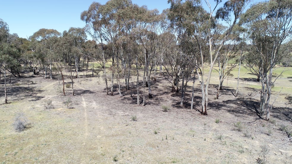Click to view all images Allotment 7D Wedderburn Road St Arnaud East VIC 3477 - Image 2