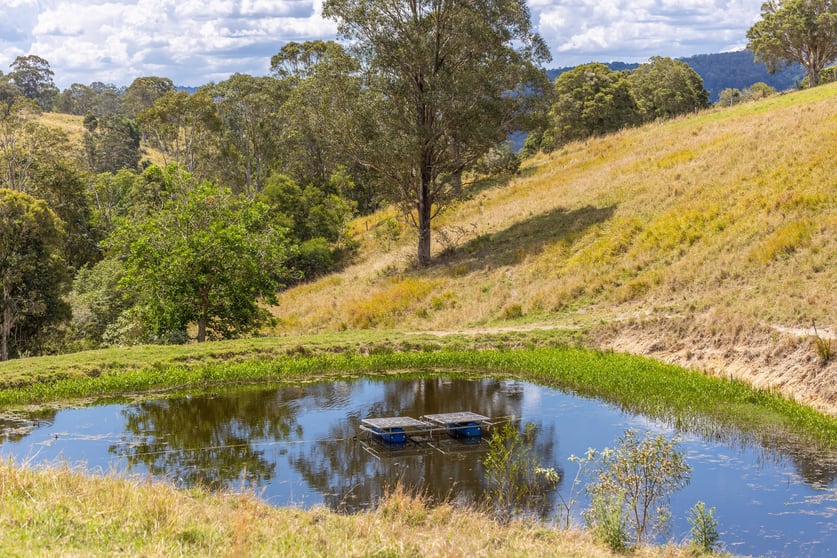 129 Days Road Belbora NSW 2422 - Image 2