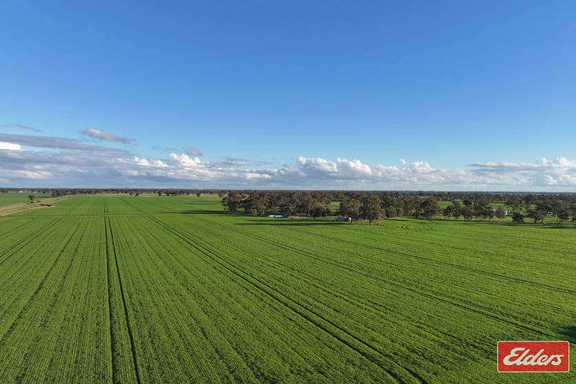 Click to view all images 937 Ham Road Moama NSW 2731 - Image 3
