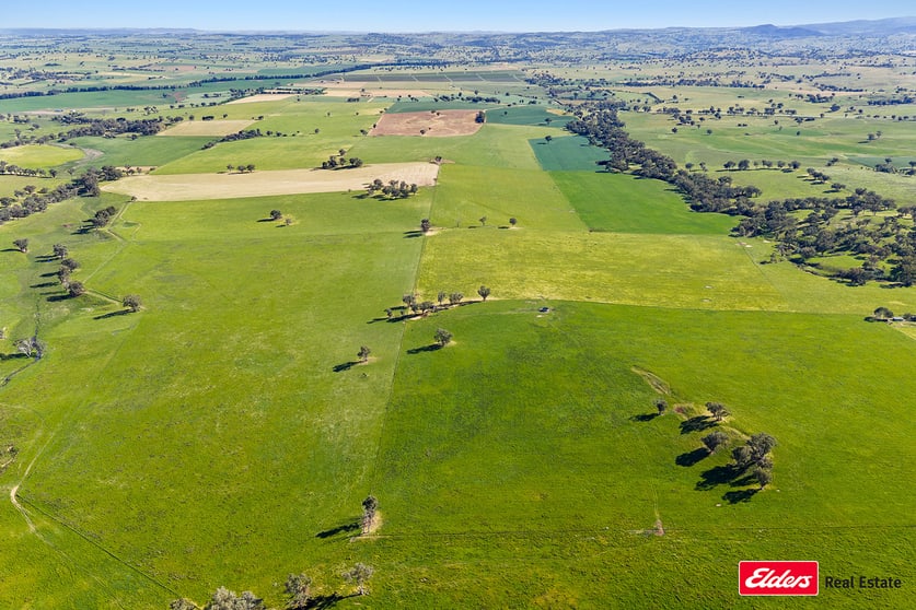Click to view all images 3809 Belubula Way Canowindra NSW 2804 - Image 3