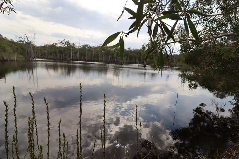 107 Petersens Road Yandaran QLD 4673 - Image 1