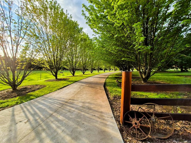 Click to view all images 245 Old Telegraph Road East Crossover VIC 3821 - Image 2