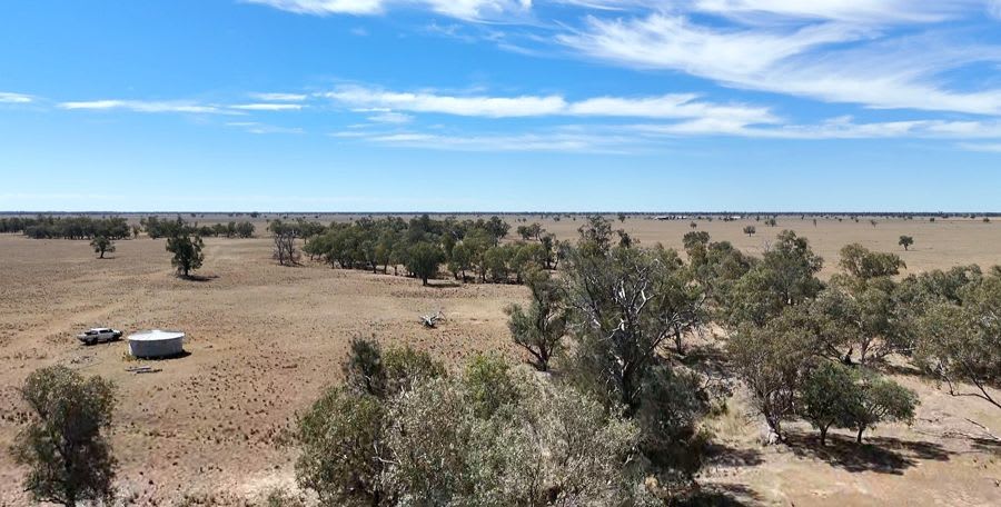 923 Warrena Road Coonamble NSW 2829 - Image 2