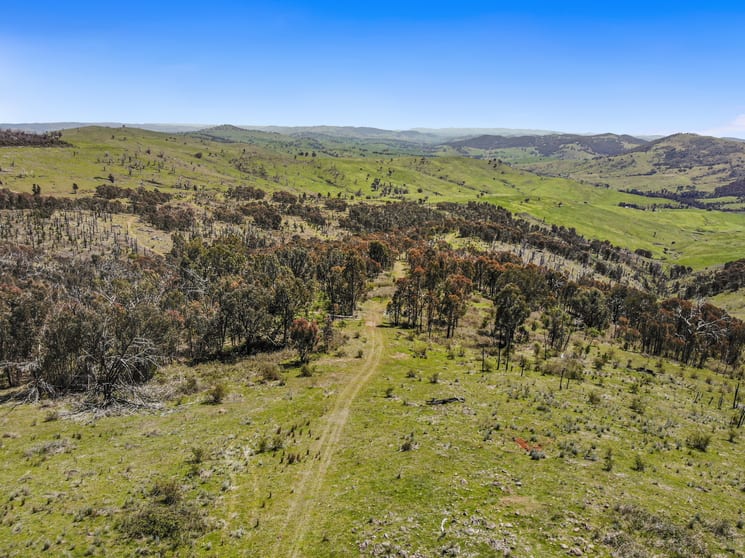 Click to view all images 1260 Wondalga Road Adelong NSW 2729 - Image 3