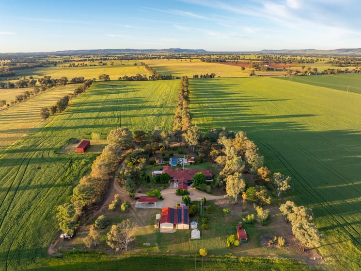 Click to view all images 'Matilda' 147 Noonbinna East Road Cowra NSW 2794 - Image 1