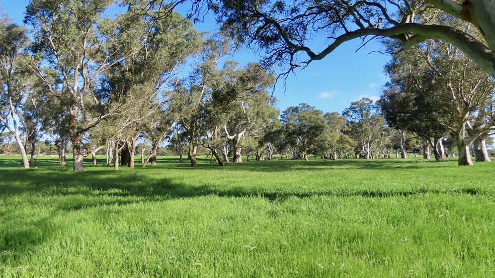 Lot 9 Mount Burr Road Monbulla SA 5277 - Image 2