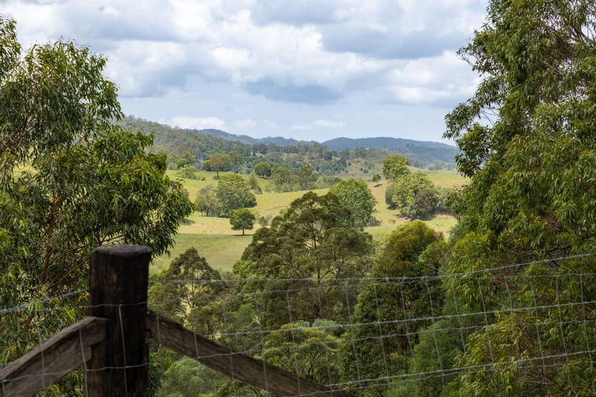 Mount Pleasant QLD 4521 - Image 3