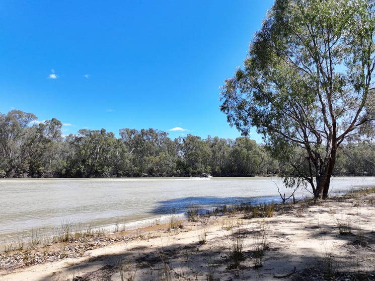 Click to view all images Lot 14 Renmark Road Wentworth NSW 2648 - Image 3