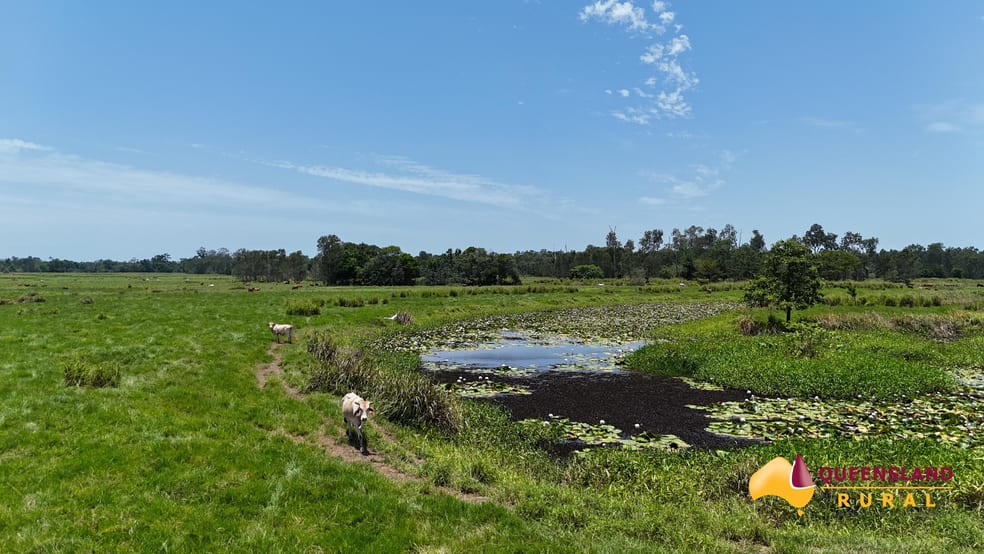 Click to view all images Euramo QLD 4854 - Image 3