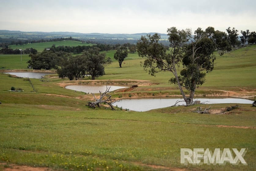 Click to view all images 417 Twelve Mile Road Yarragundry NSW 2650 - Image 3