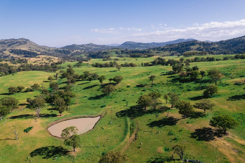 Click to view all images 7390 New England Hwy Willow Tree NSW 2339 - Image 2