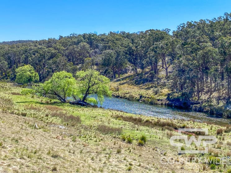 954 Bullock Mountain Road Glen Innes NSW 2370 - Image 3