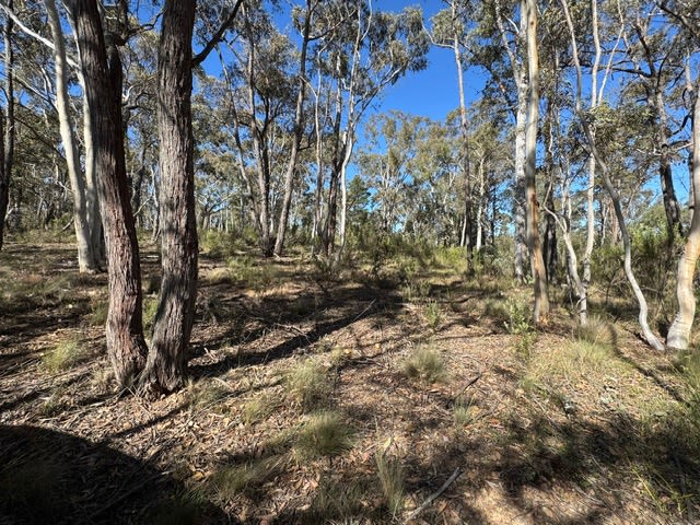 Click to view all images 671 Towrang Road Towrang NSW 2580 - Image 3