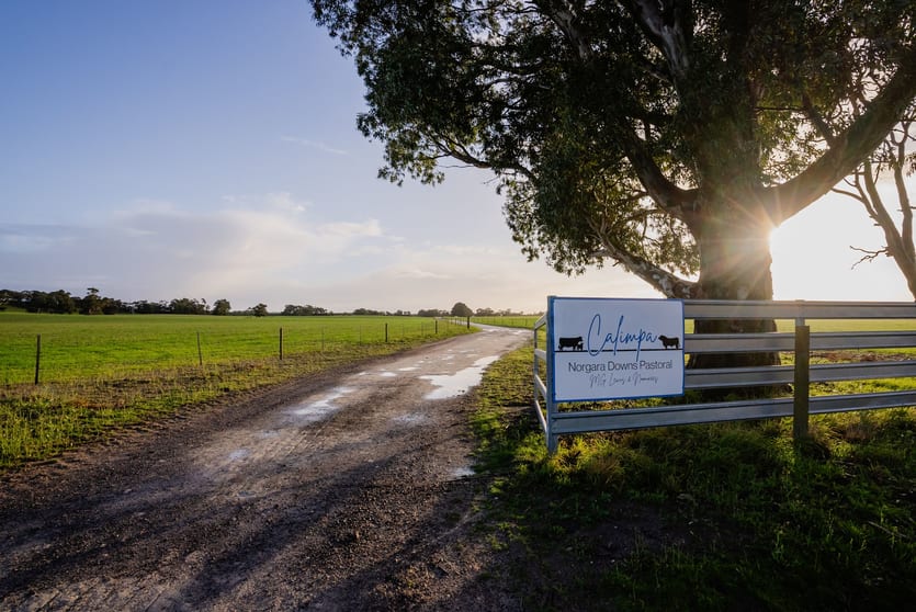 8 Coombe Road Tintinara SA 5266 - Image 3