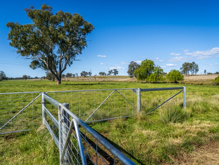 59 Mia Mia Road Purlewaugh NSW 2357 - Image 2