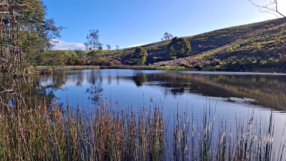 Click to view all images 108B Weeks Road Barrington TAS 7306 - Image 2