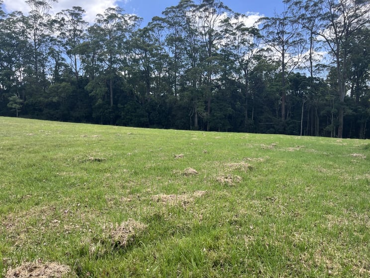 Click to view all images Lot 39/ Esk-Hampton Road Ravensbourne QLD 4352 - Image 3