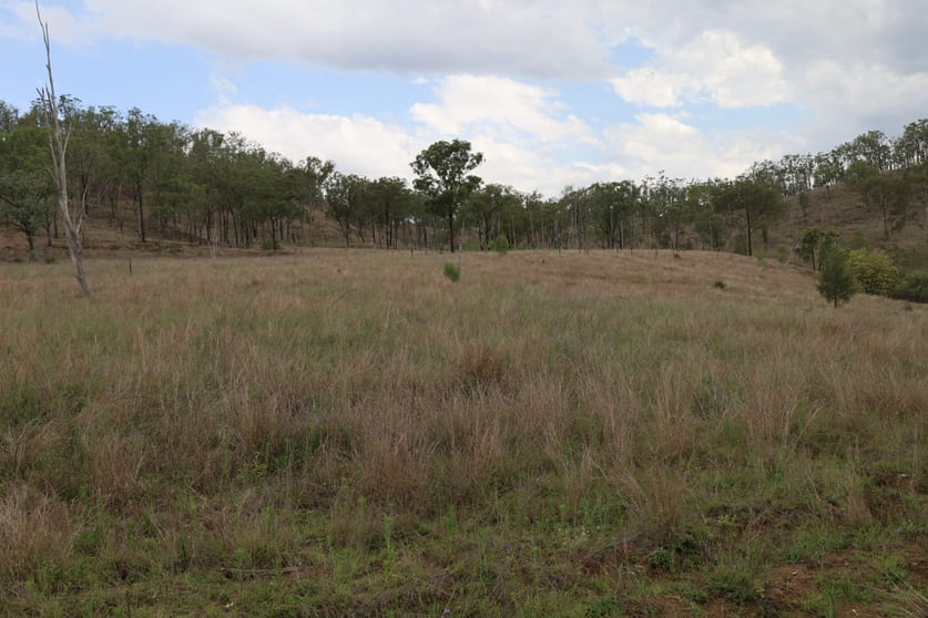 479 Pine Mountain Creek Road Monto QLD 4630 - Image 2