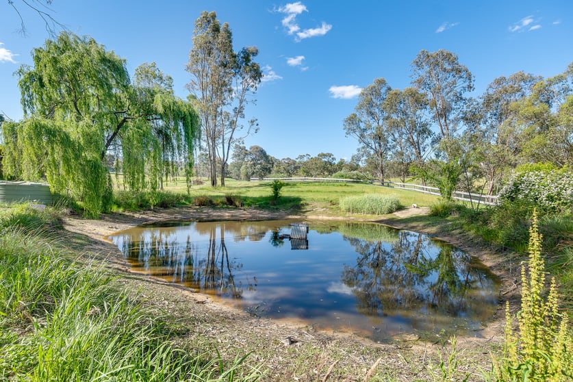 Click to view all images 8 Wildon Avenue Yackandandah VIC 3749 - Image 2