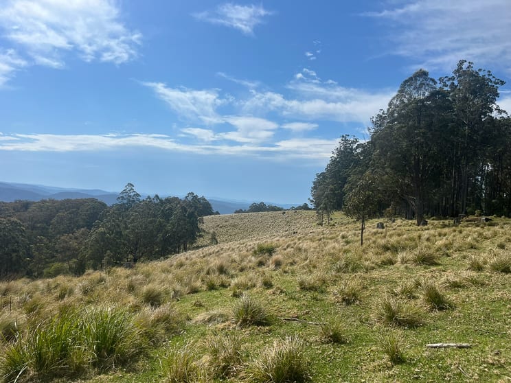 Click to view all images 638 Tops Road Nowendoc NSW 2354 - Image 2