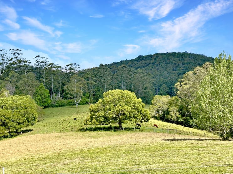 957 Hannam Vale Road Hannam Vale NSW 2443 - Image 3