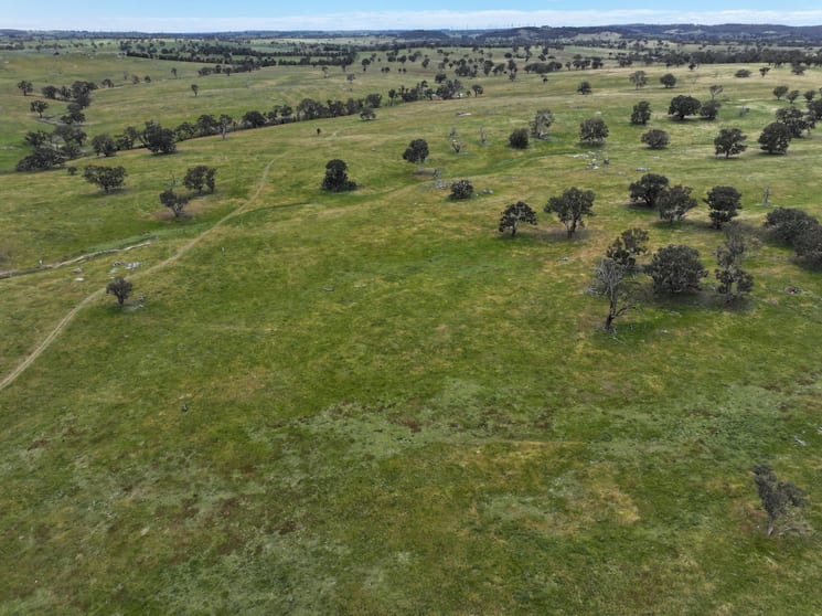 Click to view all images 0 Shaws Road Gunning NSW 2581 - Image 3