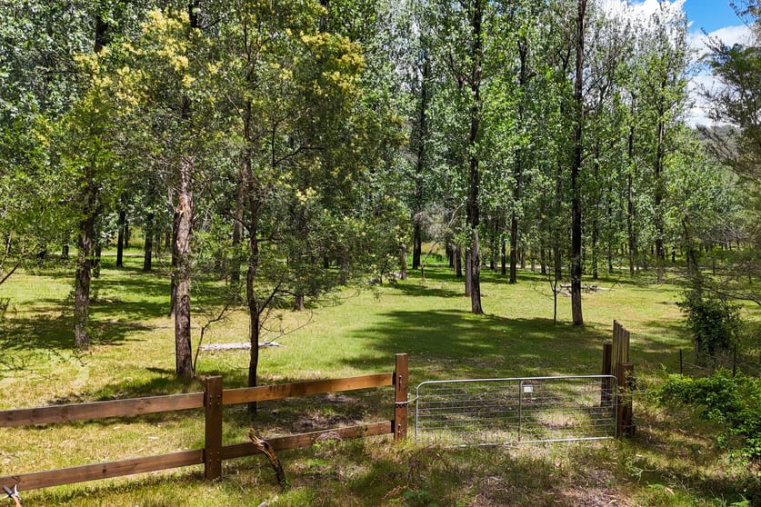 475 Webbs Creek Road Webbs Creek NSW 2775 - Image 1