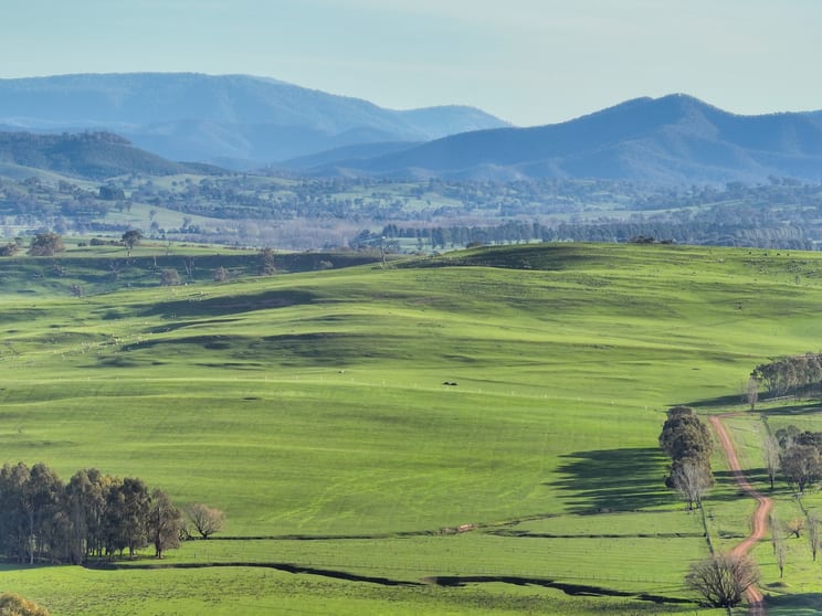 Click to view all images Lot 1, 214 Hearns Road Boorolite VIC 3723 - Image 3