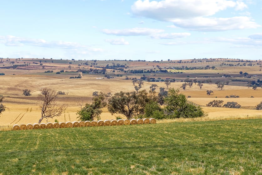 Click to view all images 215 Holman Road Murrumburrah NSW 2587 - Image 3