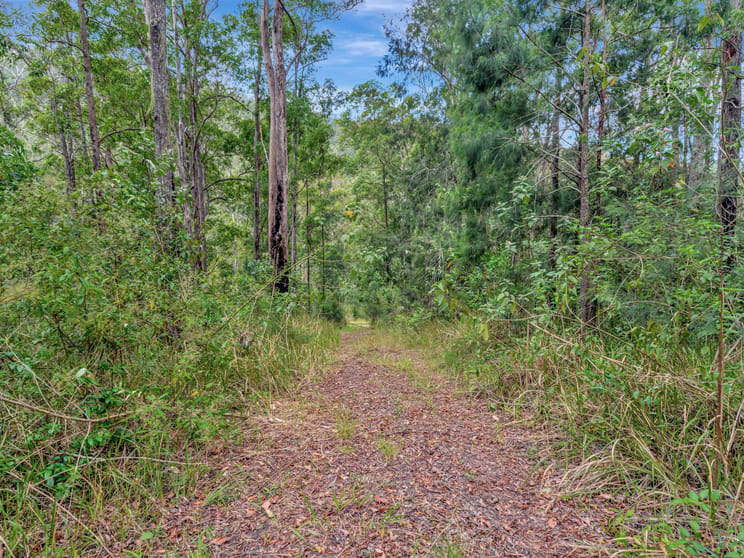 Click to view all images 739 Upper Buckrabendinni Road Buckra Bendinni NSW 2449 - Image 3