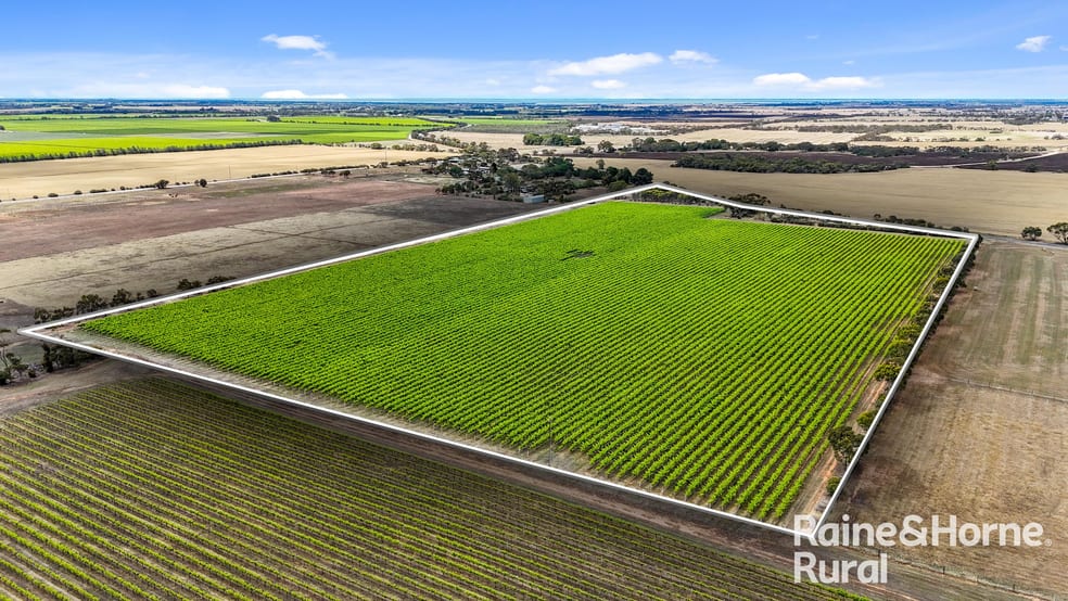 A8 Milang Road Angas Plains SA 5255 - Image 2