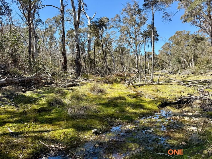 Lots 113 & 114 Kydra Firetrail Greenlands Road Greenlands NSW 2631 - Image 2