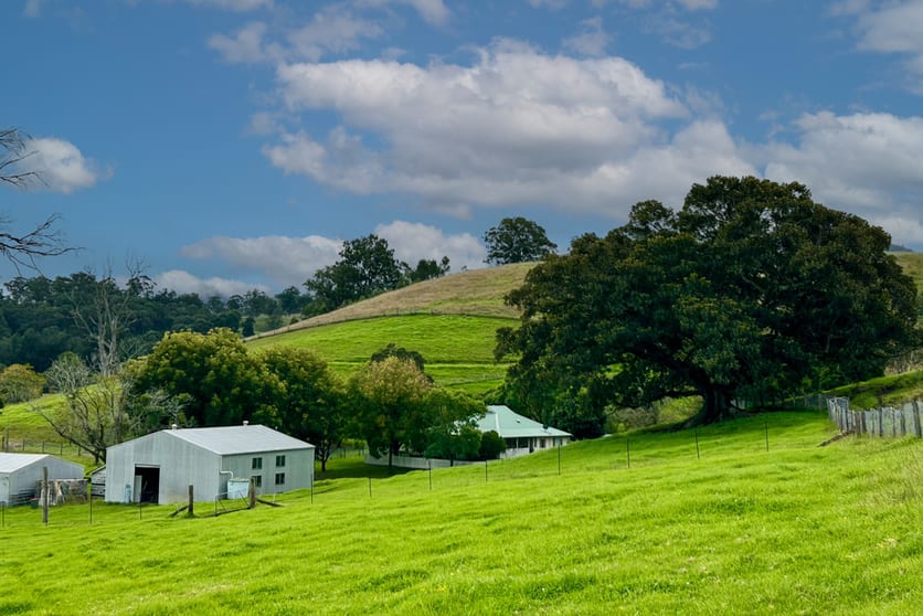 Click to view all images 1644 Paterson River Road Lostock NSW 2311 - Image 2