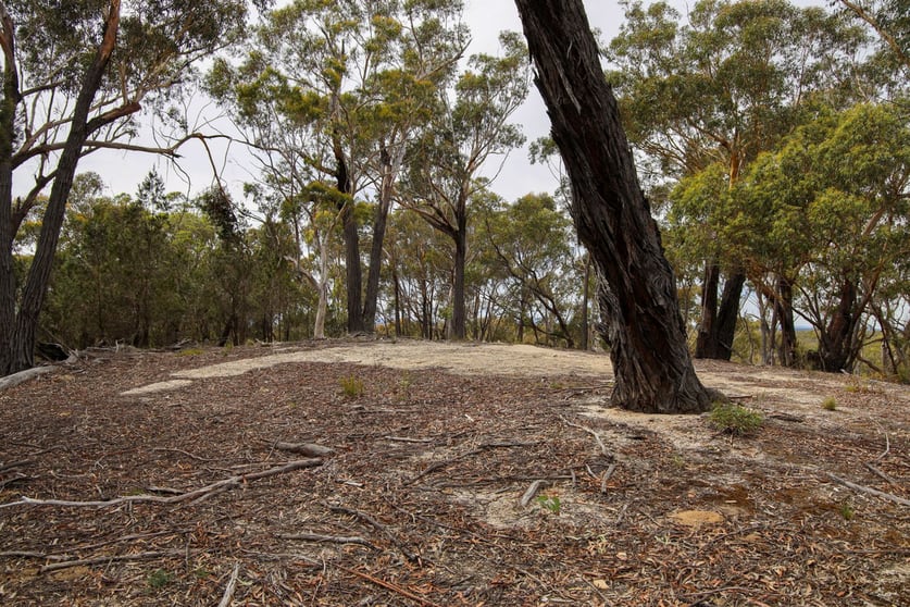 Click to view all images 1887 Oallen Ford Road Oallen NSW 2622 - Image 3