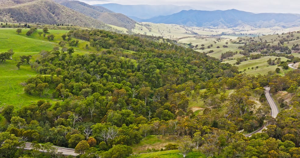 Click to view all images Lot 2 - 289 Tongio Gap Road Tongio VIC 3896 - Image 2