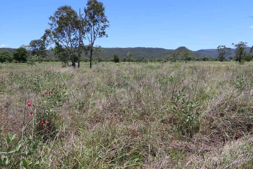 Click to view all images 92 Weale Creek Road Dalma QLD 4702 - Image 2