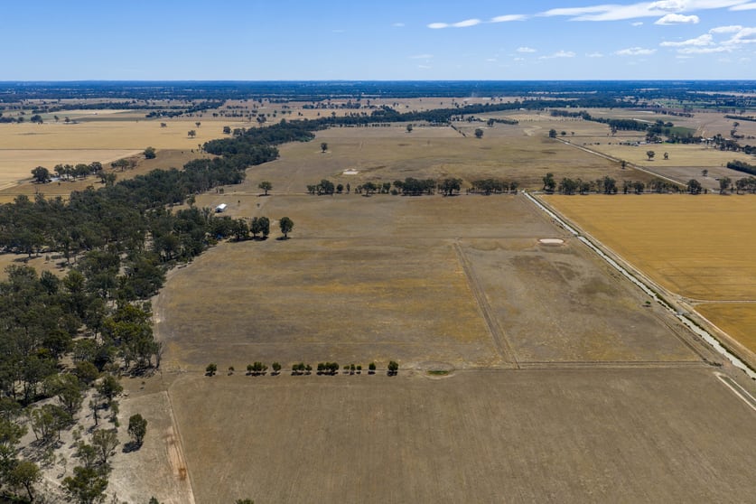 555 Trevaskis Road Kialla East VIC 3631 - Image 3