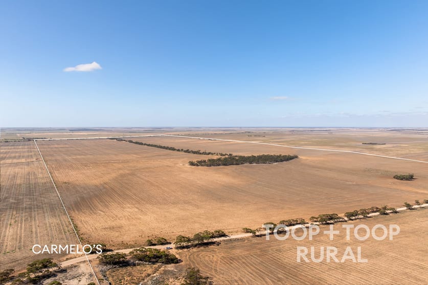 Click to view all images Church Road Copeville SA 5308 - Image 2